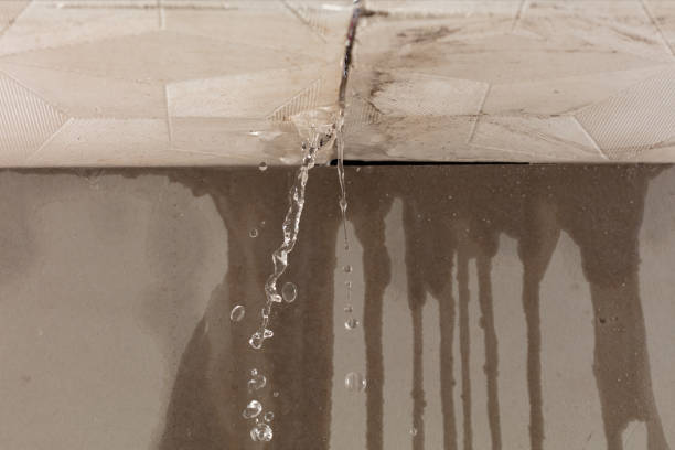 Professional Structural Drying technician working in Gillett, TX